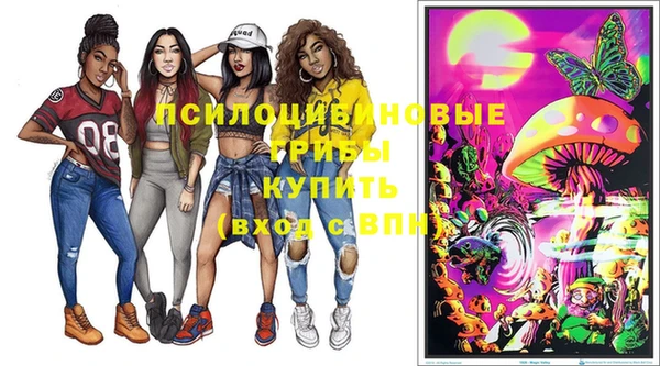 амф Алексин