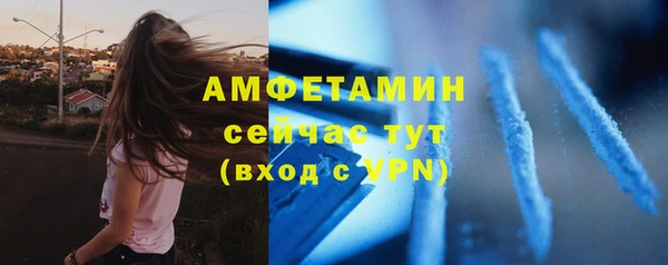 стафф Алзамай