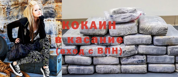 амф Алексин