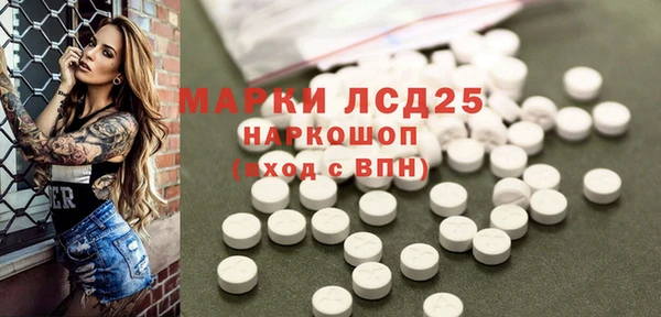 стафф Алзамай