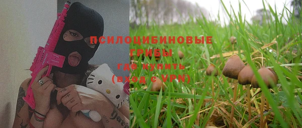 синтетический гашиш Алексеевка