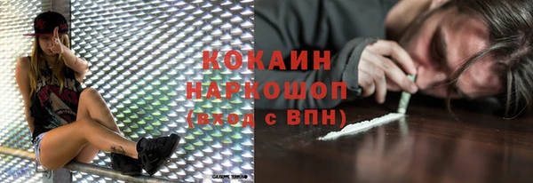 стафф Алзамай