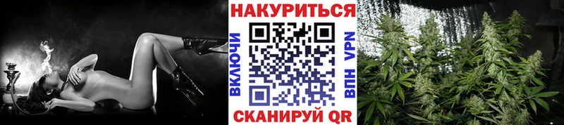 Бошки марихуана гибрид  KRAKEN сайт  Абинск 